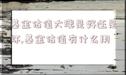 基金估值大涨是好还是坏,基金估值有什么用  第1张