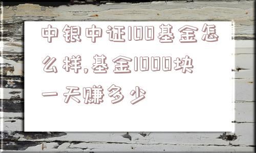 中银中证100基金怎么样,基金1000块一天赚多少  第1张