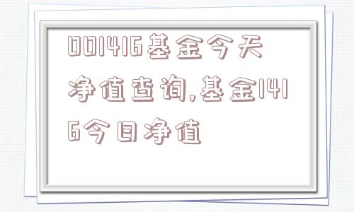 001416基金今天净值查询,基金1416今日净值  第1张