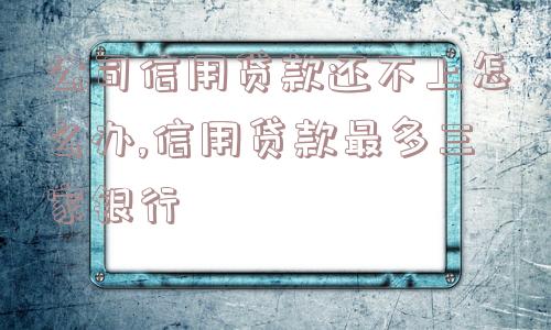 公司信用贷款还不上怎么办,信用贷款最多三家银行  第1张