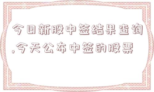 今日新股中签结果查询,今天公布中签的股票  第1张