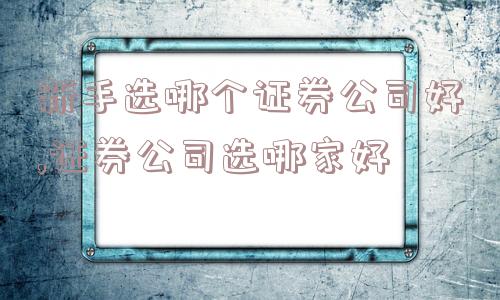 新手选哪个证券公司好,证券公司选哪家好  第1张