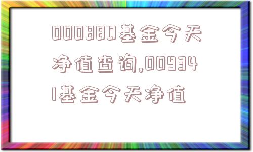 000880基金今天净值查询,009341基金今天净值  第1张