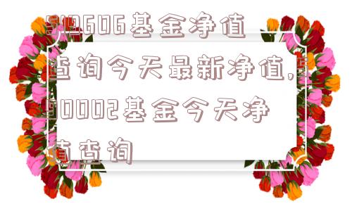 519606基金净值查询今天最新净值,590002基金今天净值查询  第1张