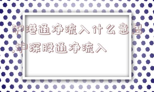 沪港通净流入什么意思,沪深股通净流入  第1张