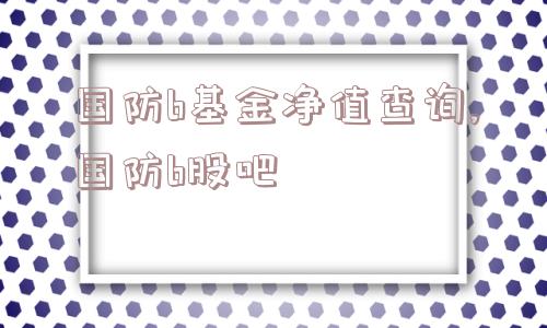 国防b基金净值查询,国防b股吧  第1张