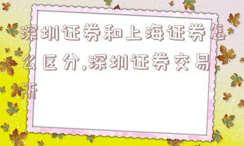 深圳证券和上海证券怎么区分,深圳证券交易所  第1张