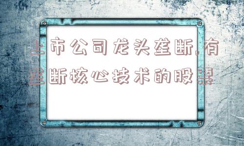 上市公司龙头垄断,有垄断核心技术的股票  第1张