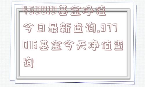 460010基金净值今日最新查询,377016基金今天净值查询  第1张