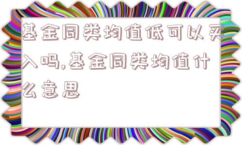 基金同类均值低可以买入吗,基金同类均值什么意思  第1张