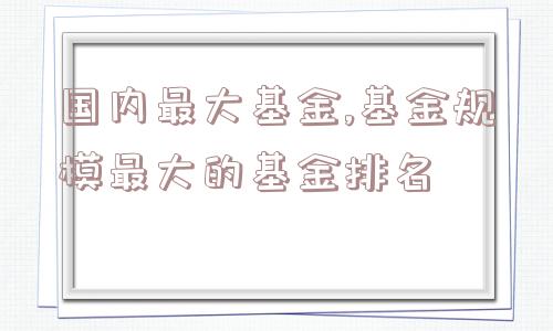 国内最大基金,基金规模最大的基金排名  第1张