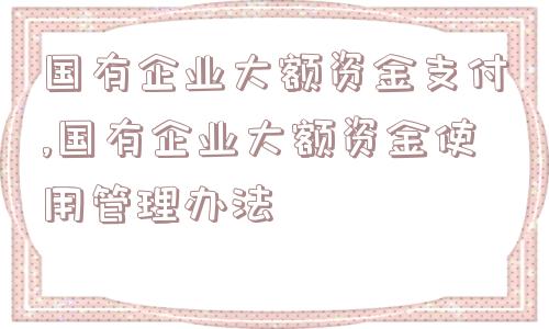 国有企业大额资金支付,国有企业大额资金使用管理办法  第1张