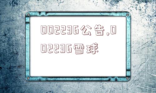 002236公告,002236雪球  第1张