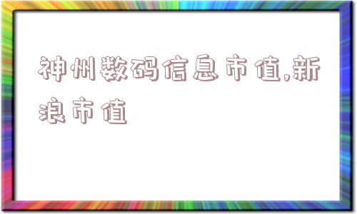 神州数码信息市值,新浪市值  第1张