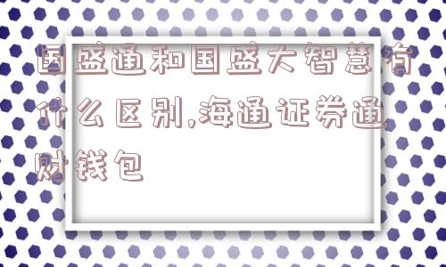 国盛通和国盛大智慧有什么区别,海通证券通财钱包  第1张