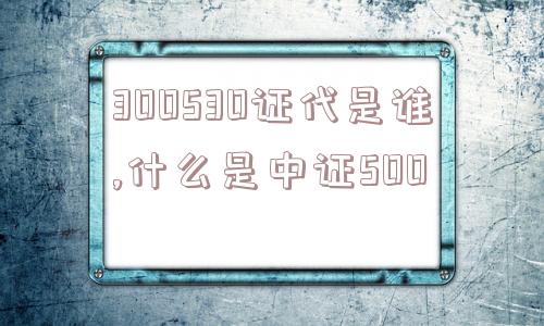 300530证代是谁,什么是中证500  第1张