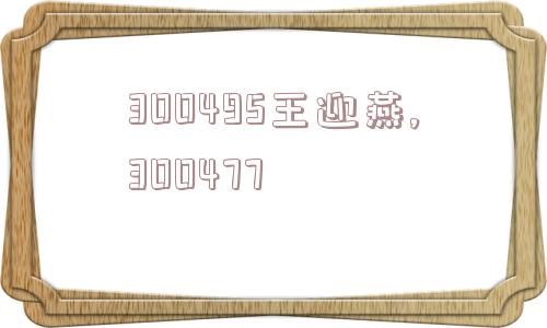 300495王迎燕,300477  第1张