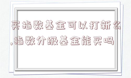 买指数基金可以打新么,指数分级基金能买吗  第1张