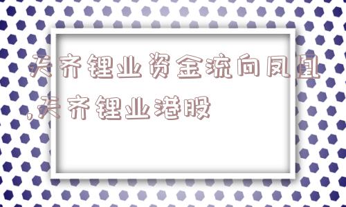 天齐锂业资金流向凤凰,天齐锂业港股  第1张