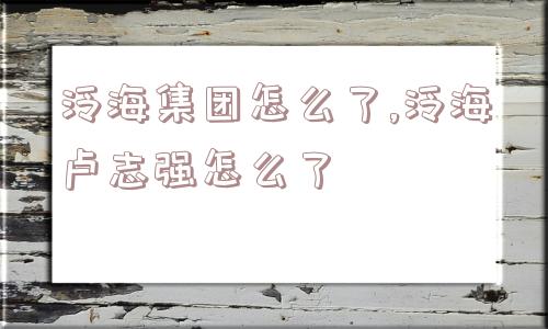 泛海集团怎么了,泛海卢志强怎么了  第1张