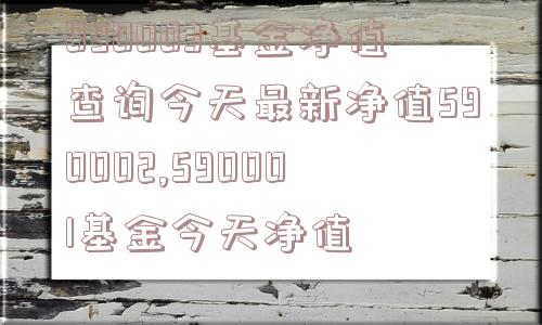 090003基金净值查询今天最新净值590002,590001基金今天净值  第1张