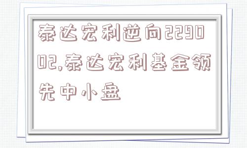 泰达宏利逆向229002,泰达宏利基金领先中小盘  第1张