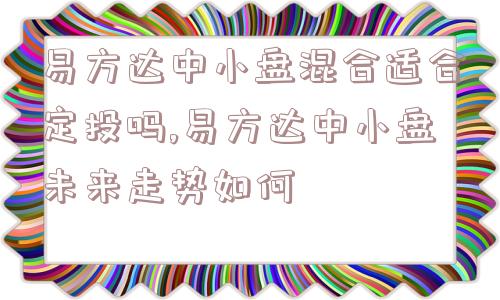 易方达中小盘混合适合定投吗,易方达中小盘未来走势如何  第1张