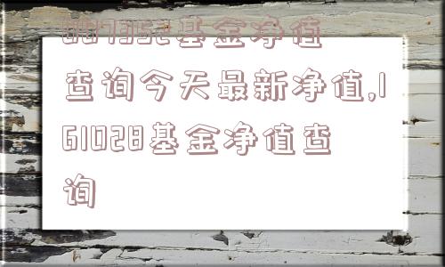 007352基金净值查询今天最新净值,161028基金净值查询  第1张