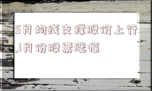 5月均线支撑股价上行,1月份股票涨幅  第1张