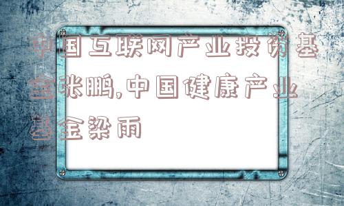 中国互联网产业投资基金张鹏,中国健康产业基金梁雨  第1张