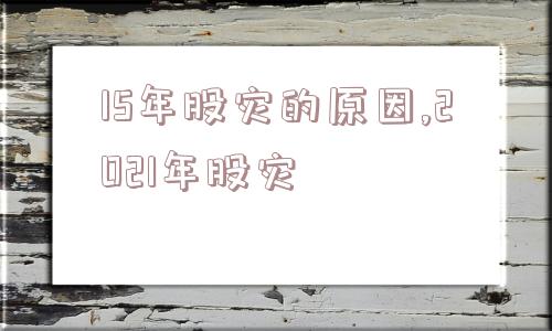 15年股灾的原因,2021年股灾  第1张