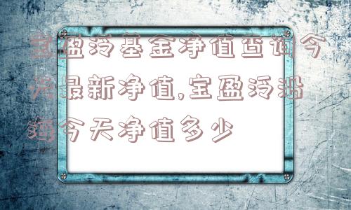 宝盈泛基金净值查询今天最新净值,宝盈泛沿海今天净值多少  第1张