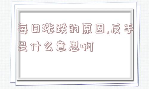 每日涨跌的原因,反手是什么意思啊  第1张