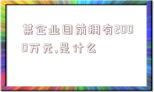 某企业目前拥有2000万元,是什么  第1张