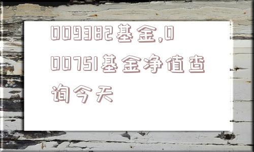 009382基金,000751基金净值查询今天  第1张