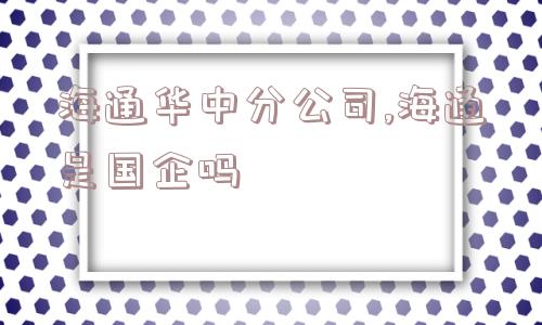 海通华中分公司,海通是国企吗  第1张