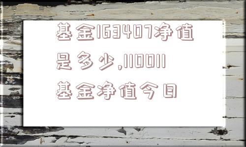 基金163407净值是多少,110011基金净值今日  第1张