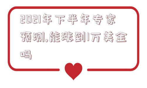 2021年下半年专家预测,能涨到1万美金吗  第1张