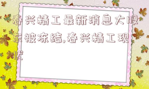 春兴精工最新消息大股东被冻结,春兴精工现状  第1张