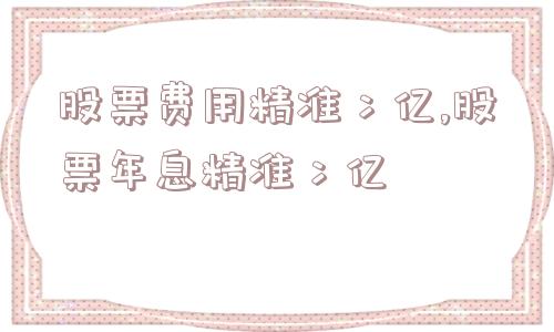 股票费用精准冫亿,股票年息精准冫亿  第1张