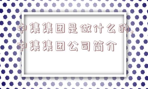 中集集团是做什么的,中集集团公司简介  第1张