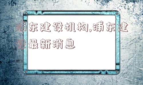 浦东建设机构,浦东建设最新消息  第1张