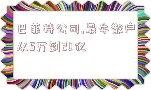 巴菲特公司,最牛散户从5万到20亿  第1张