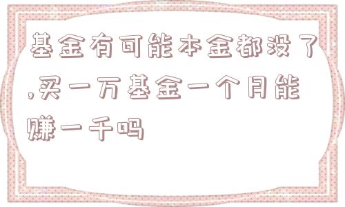 基金有可能本金都没了,买一万基金一个月能赚一千吗  第1张