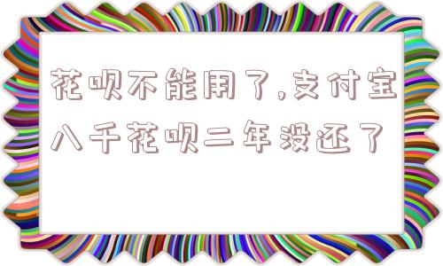 花呗不能用了,支付宝八千花呗二年没还了  第1张