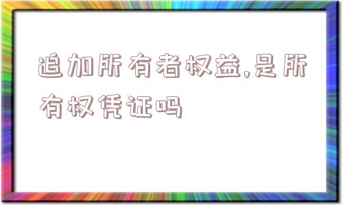 追加所有者权益,是所有权凭证吗  第1张