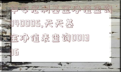 华安宏利基金净值查询040005,天天基金净值表查询001396  第1张