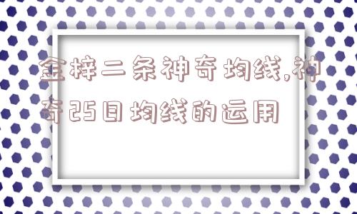 金梓二条神奇均线,神奇25日均线的运用  第1张