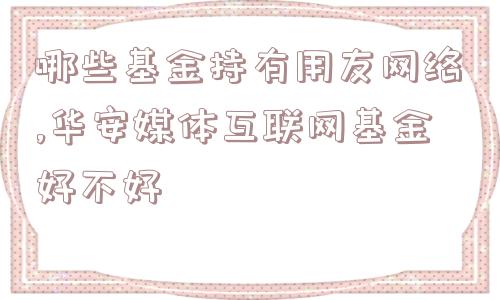 哪些基金持有用友网络,华安媒体互联网基金好不好  第1张