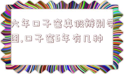 六年口子窖真假辨别带图,口子窖6年有几种  第1张